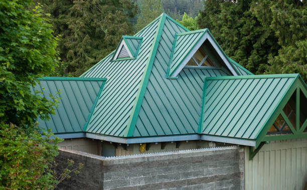 Best Roof Moss and Algae Removal  in Saluda, SC
