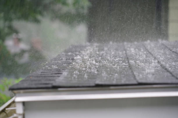 Best Metal Roofing Installation  in Saluda, SC