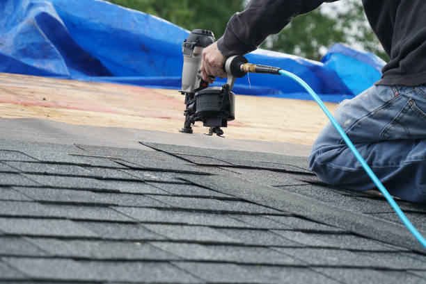 Best Roof Insulation Installation  in Saluda, SC